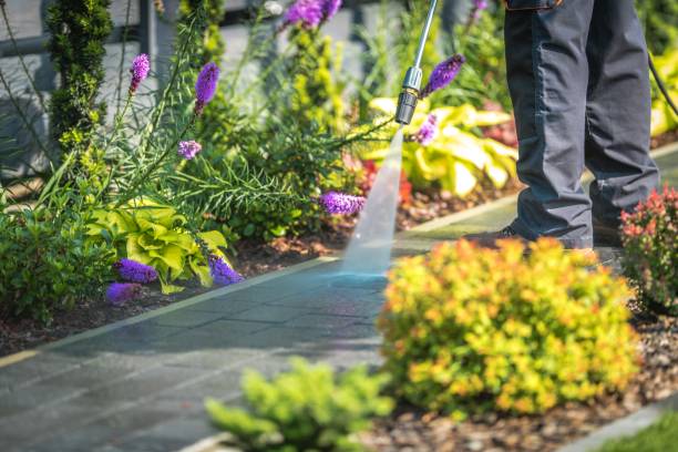 Best Pre-Holiday Cleaning  in Fox Lake, WI