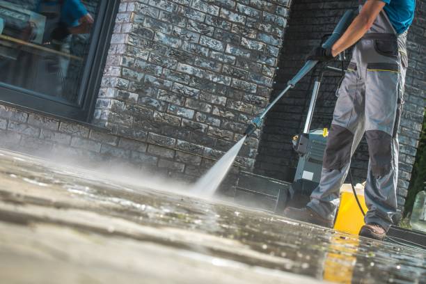 Best Patio and Deck Pressure Washing  in Fox Lake, WI