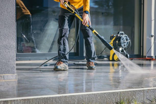 Best Fence Cleaning  in Fox Lake, WI
