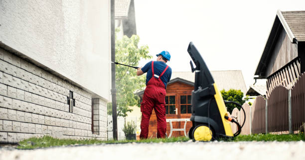Best Soft Washing  in Fox Lake, WI